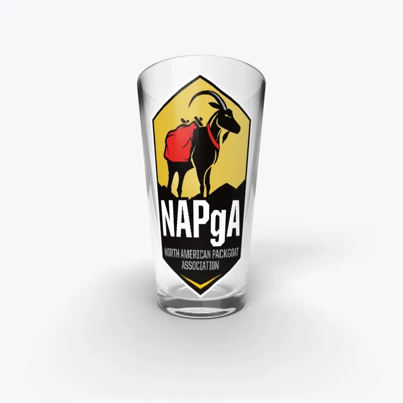 NAPgA Pint Glass hex